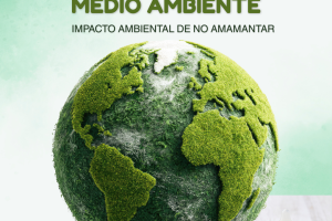 5 JUNIO DÍA MUNDIAL DEL MEDIO AMBIENTE