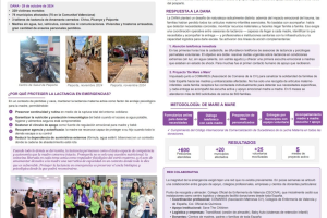 LACTANCIA MATERNA EN EMERGENCIAS